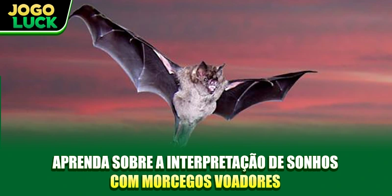 Aprenda sobre a interpretação de sonhos com morcegos voadores Aprenda sobre a interpretação de sonhos com morcegos voadores