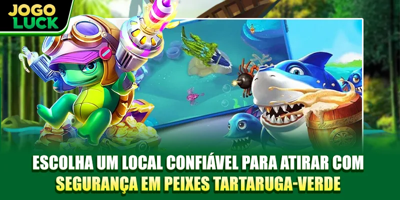 Escolha um local confiável para atirar com segurança em Pesca Tartaruga Verde Escolha um local confiável para atirar com segurança em Pesca Tartaruga Verde