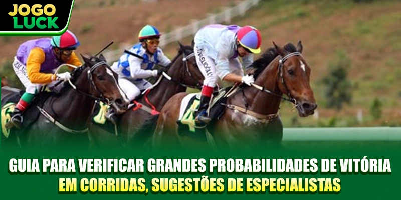 Guia Análise Odds de Corrida, sugestões de especialistas