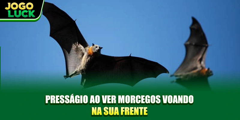Presságio ao ver morcegos voando na sua frente Presságio ao ver morcegos voando na sua frente