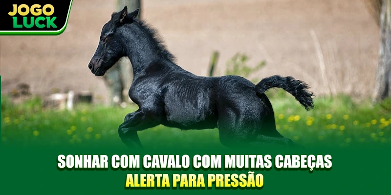 Sonhar com Cavalo é Bom ou Ruim, Especialistas Sugerem Números