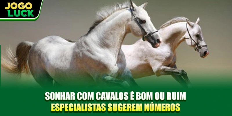 Sonhar com cavalo com muitas cabeças alerta para pressão Sonhar com cavalo com muitas cabeças alerta para pressão