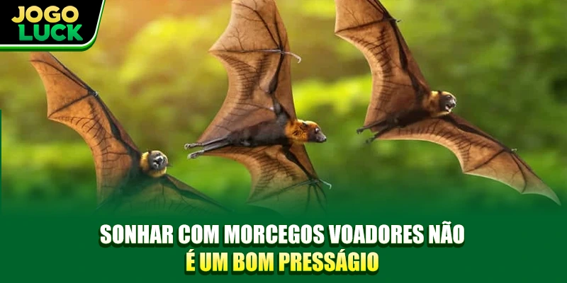 Sonhar com morcegos voadores não é um bom presságio Sonhar com morcegos voadores não é um bom presságio